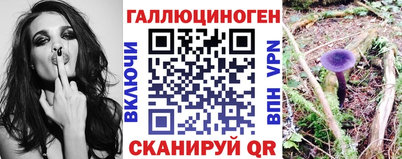 Псилоцибиновые грибы Cubensis  Волжск 