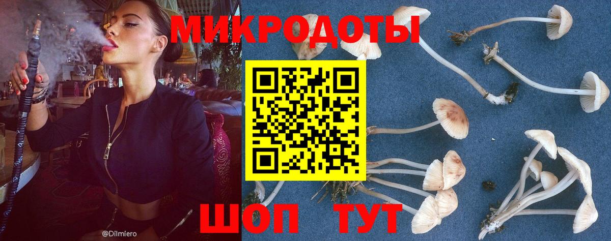 Псилоцибиновые грибы мухоморы  Волжск 